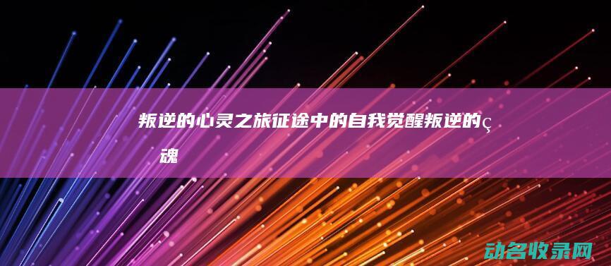 叛逆的心灵之旅 征途中的自我觉醒 (《叛逆的灵魂》)