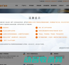 金舵手